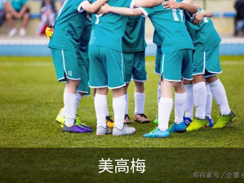 美高梅简介